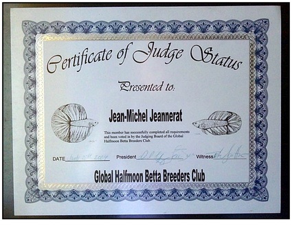 Le certificat de juge Global Halfmoon Betta Breeders Club de Jean ...